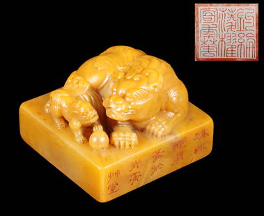 Qing Dynasty "Chen Wei" Field Yellow Stone Seal: H: 1 3/4 in(4.5cm) w: 2 1/2 in(6.4cm) wt:314g ??:???????