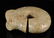 Hongshan Culture - Carved Jade Pig Dragon - 3