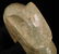 Hongshan Culture - Carved Jade Pig Dragon - 6