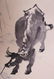 Li Keran Ox Painting - 3