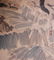 Xu Beihong Cat Painting - 5