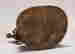 item-89037659=5