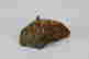 item-131830776=2