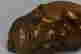 item-131830776=6