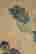item-131831034=6