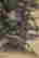 item-131831035=3