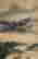 item-131831035=5