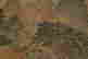 item-131831037=10