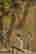 item-137207324=4