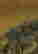 item-137207324=5