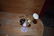 Gorgeous Antique Hat Pin Holder w 8 Pins - 3