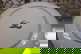 item-209030847=13