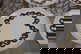 item-209030848=5