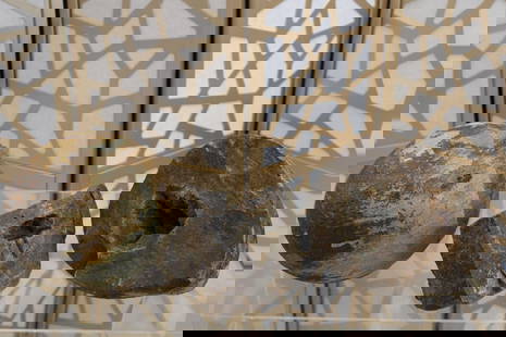 Rare Fossilized Dinosaur Flesh / Eggs: These exceptional specimens...We are proud to present a pair of exceptionally preserved fossilized dinosaur eggs, believed to originate from the Late Cretaceous period, approximately 66-100 million ye