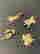 item-111180309=3