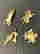 item-111180309=4