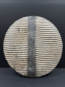 Zulu Shield