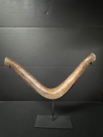 Philippine Tribal Art Carved Wood Carabao Yoke Mounted on Metal Stand