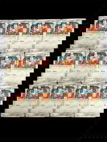 Pokemon Trading Card Journey Together Set Lot of 12 Cards