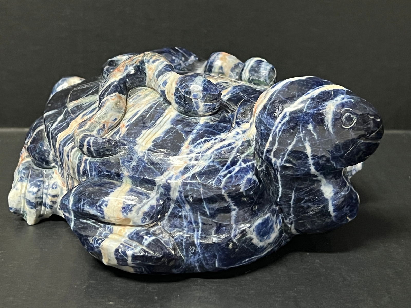 Carved Solid Blue Stone Turtle Sculpture - 7