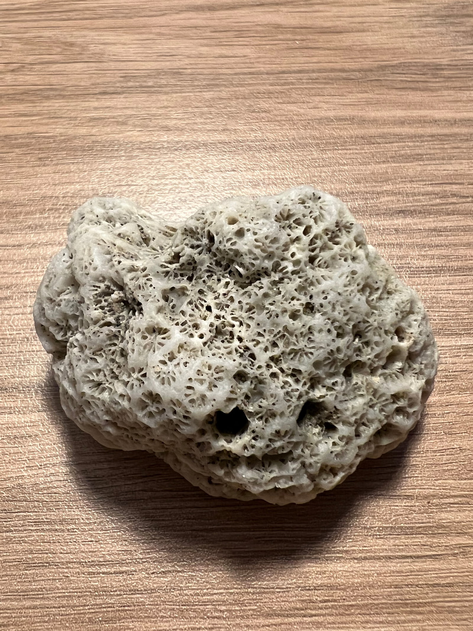 Naturally Form Ocean Beach Tumbled Stone or Rock: Naturall Form Ocean Beach Tumbled Stone or Rock. The dimension is 2 inches high x 2 inches wide. Please be aware that some of the items are vintage, secondhand, old ages, antiques and may have a defec