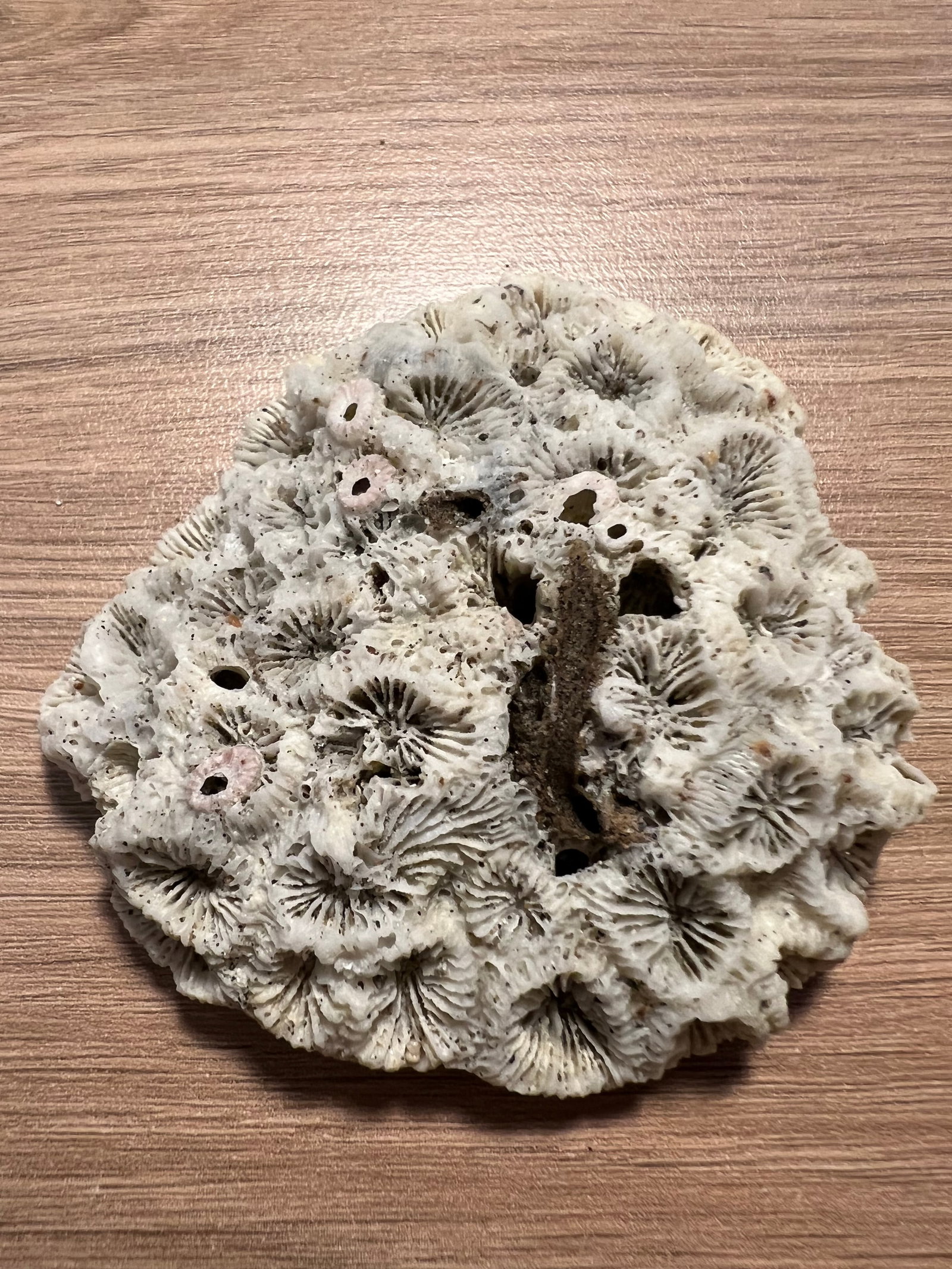 Naturally Form Ocean Beach Tumbled Stone or Rock: Naturall Form Ocean Beach Tumbled Stone or Rock. The dimension is 2 inches high x 2 inches wide. Please be aware that some of the items are vintage, secondhand, old ages, antiques and may have a