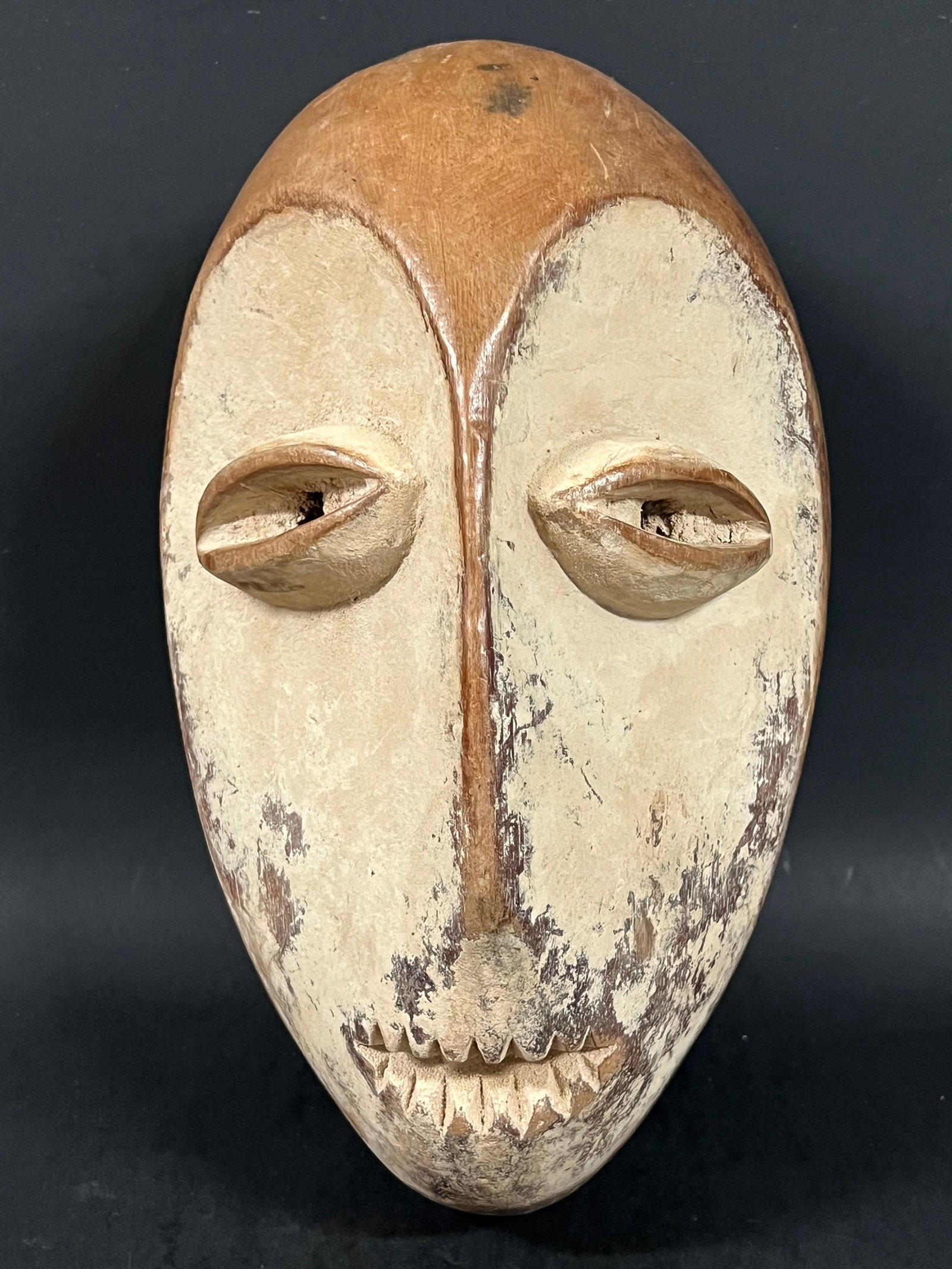 Lega Mask - 2