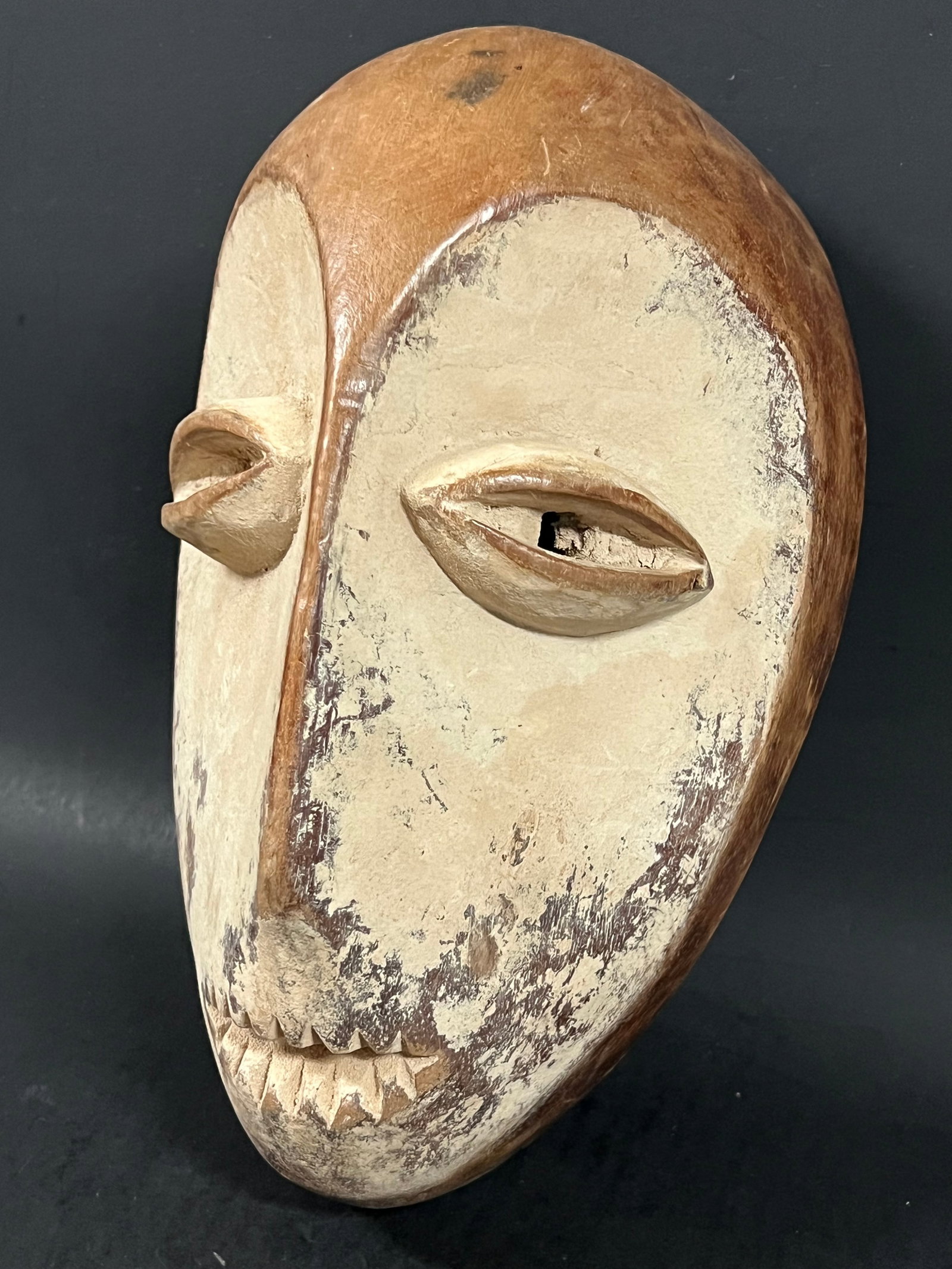 Lega Mask - 4