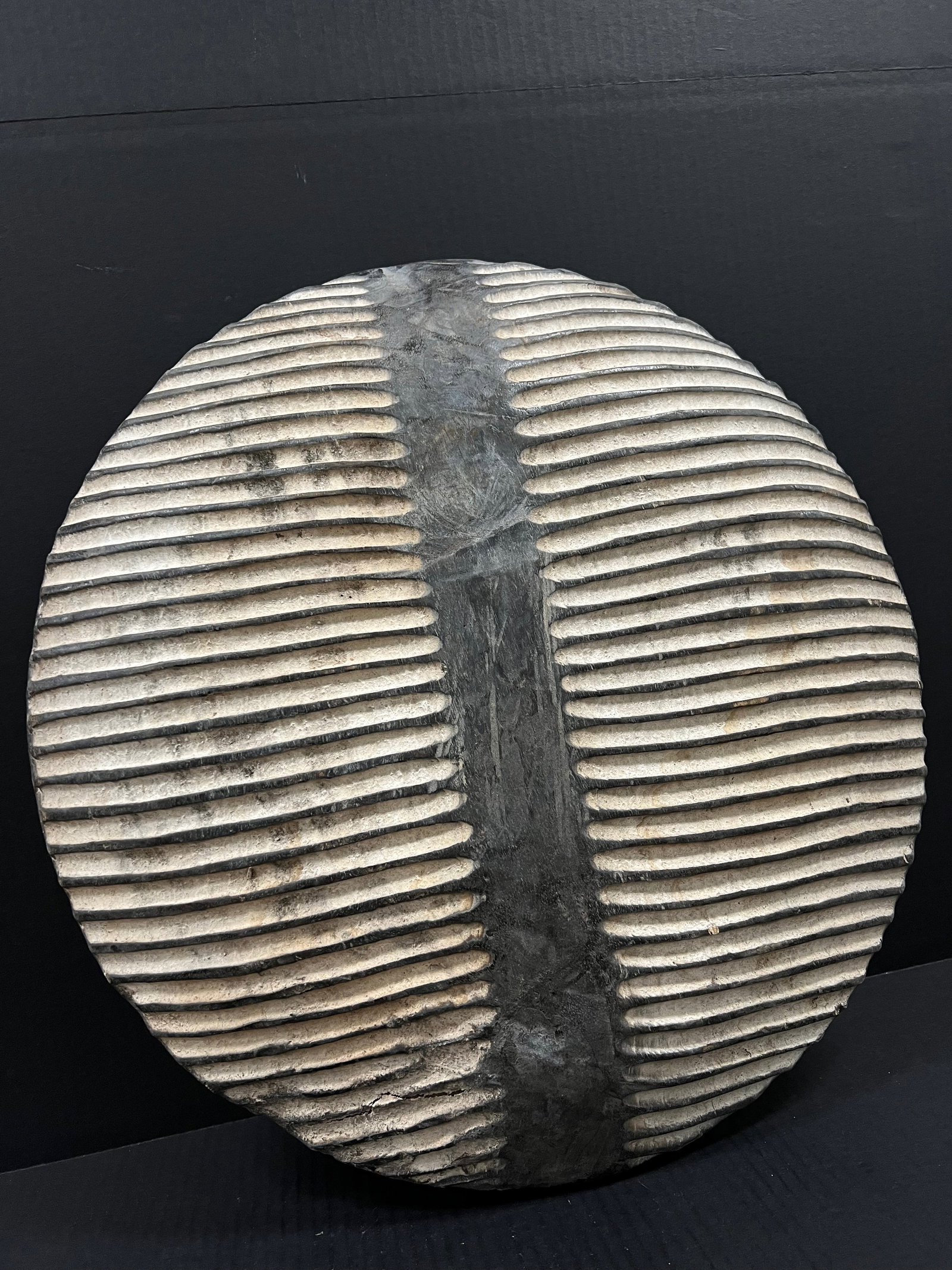 Zulu Shield - 2