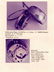 JOHN MAY Taschenuhr, Clockmakers Company, London, ... - 2