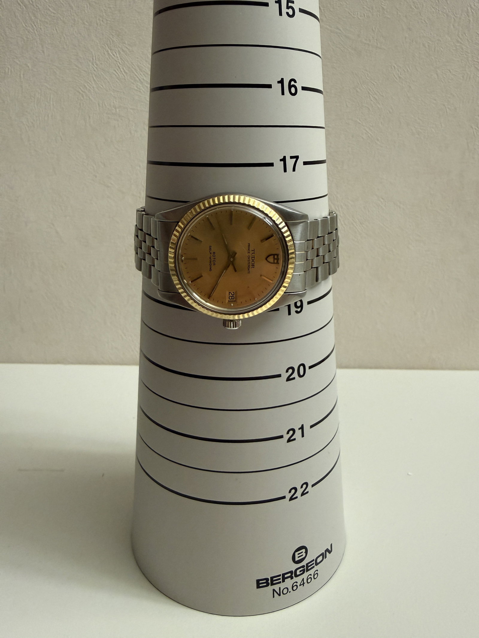 Tudor - 11