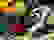 item-77168436=3