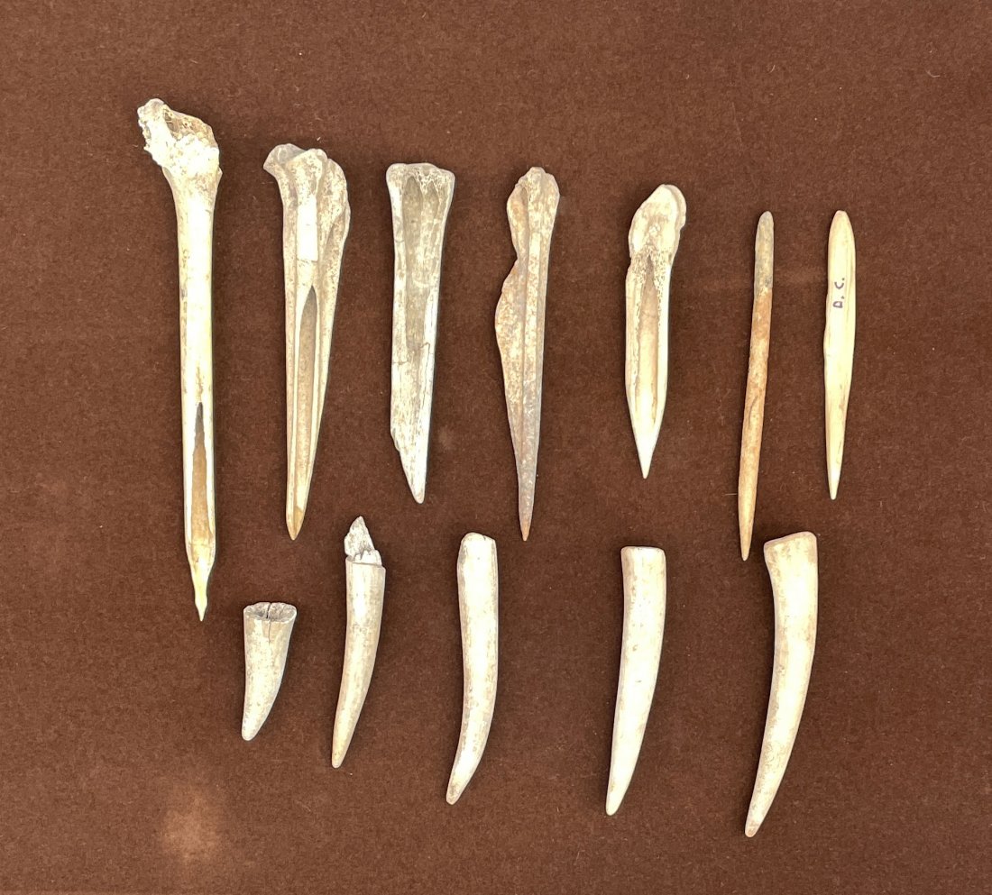 Prehistoric Native American Woodland Bone Artifacts, TN: Twelve (12) Rare Prehistoric Native American Woodland Period Bone Tool Artifacts from Middle Tennessee, including rare bird bone tattooing tools. Other tools include weaving and hide preparation tools
