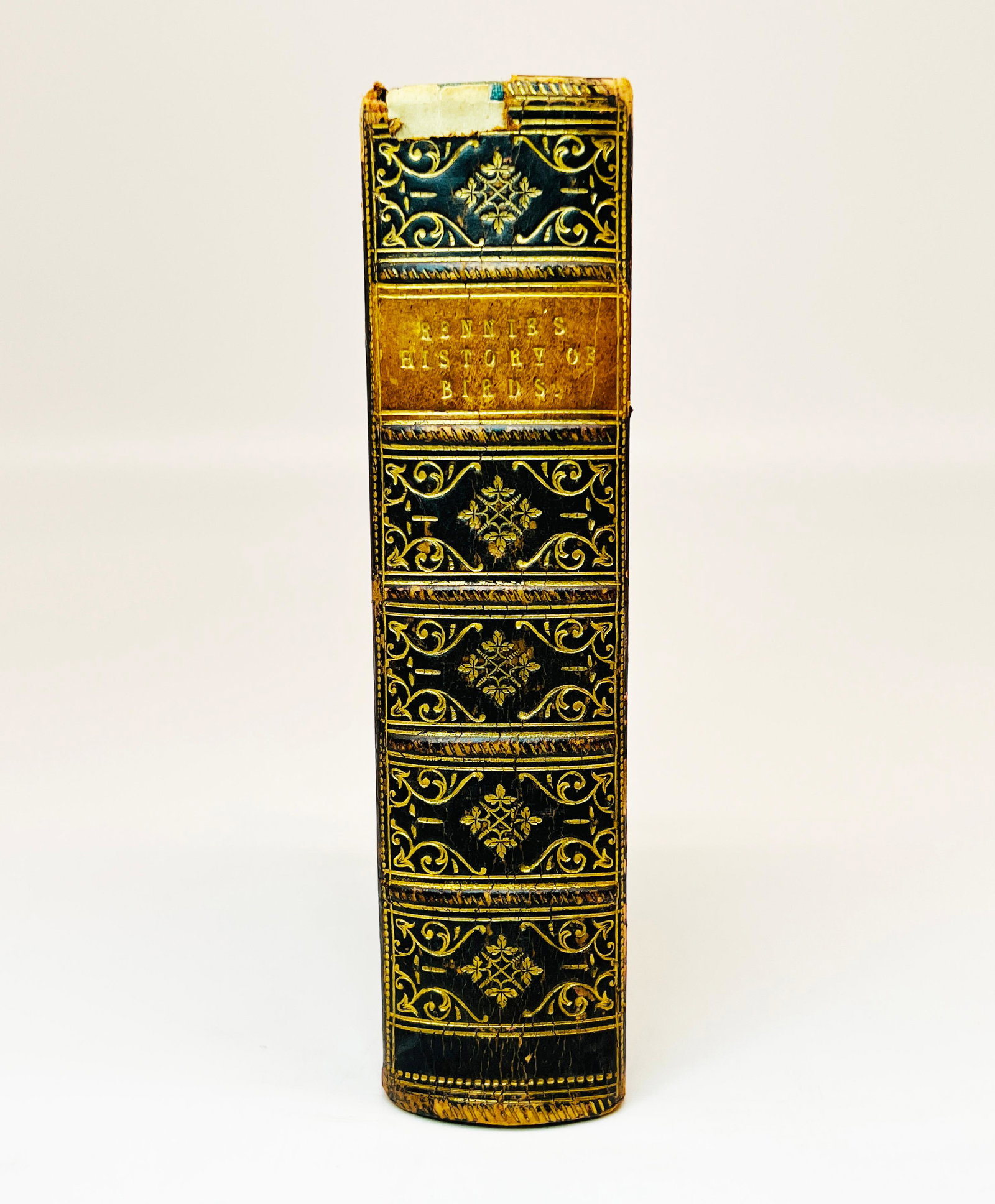 Antique Book BIRD ARCHITECTURE by James Rennie, 1853: Antique Book BIRD ARCHITECTURE by James Rennie, A.M. New Revised Edition - Published: London: G. Cox, 1853 | Leather Hardcover with marbled boards, gold gilt lettering and decoration to spine (Matches