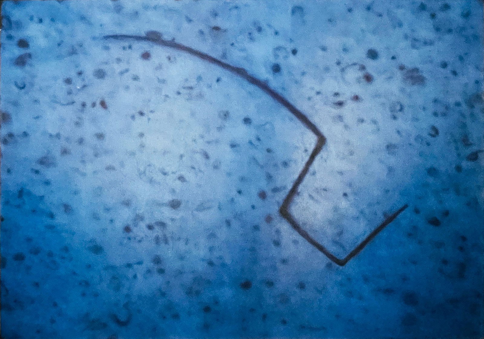 Paula Overbay Abstract Oil Painting CONSTELLATION (1 of 3)