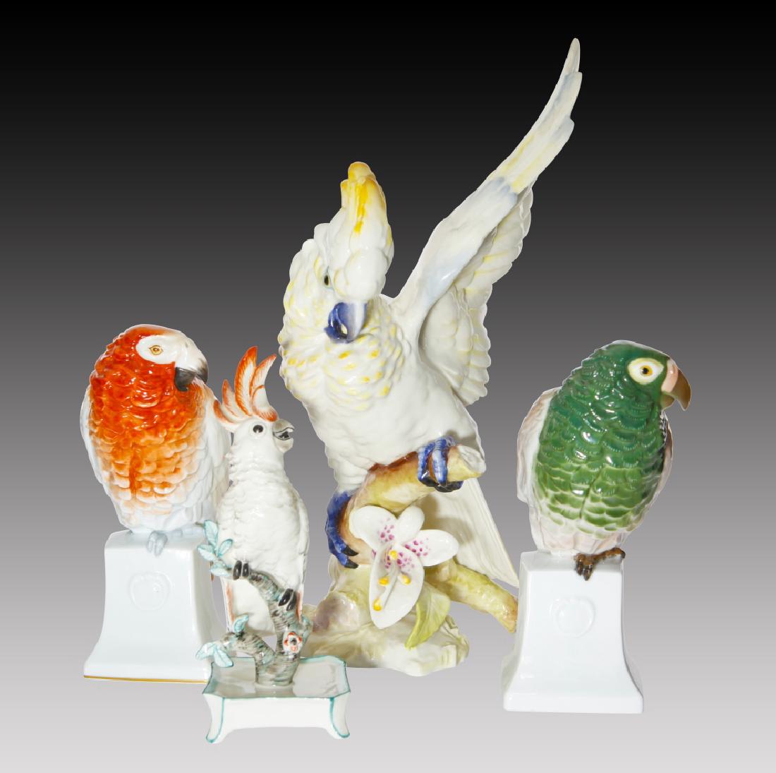 Grouping of 4 Colorful Parrots and Cockatoos (1 of 6)