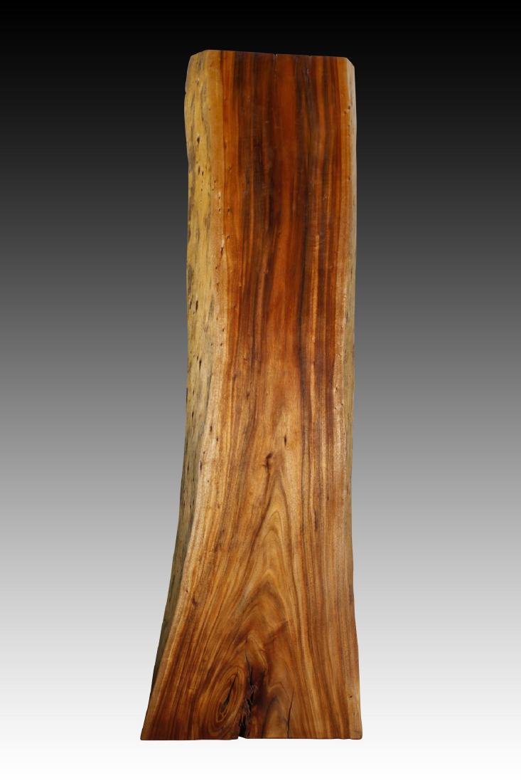 Natural Edge Orejero Wood Slab (1 of 4)