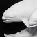 Kaiser Killer Whales Porcelain Figurine Sculpture - 4