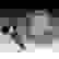 item-62226992=6