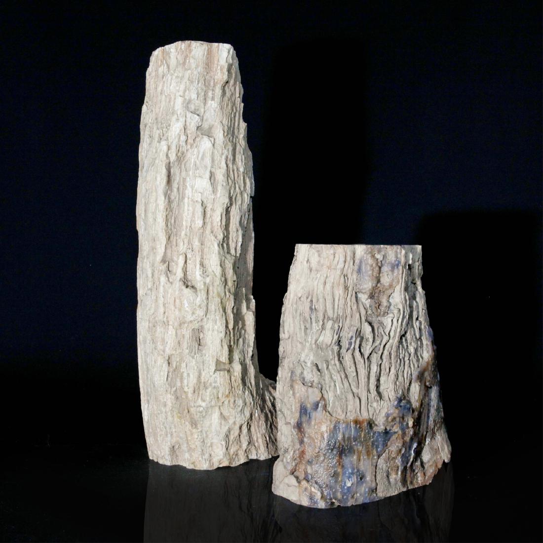 Pair of Petrified Wood Specimens (1 of 7)