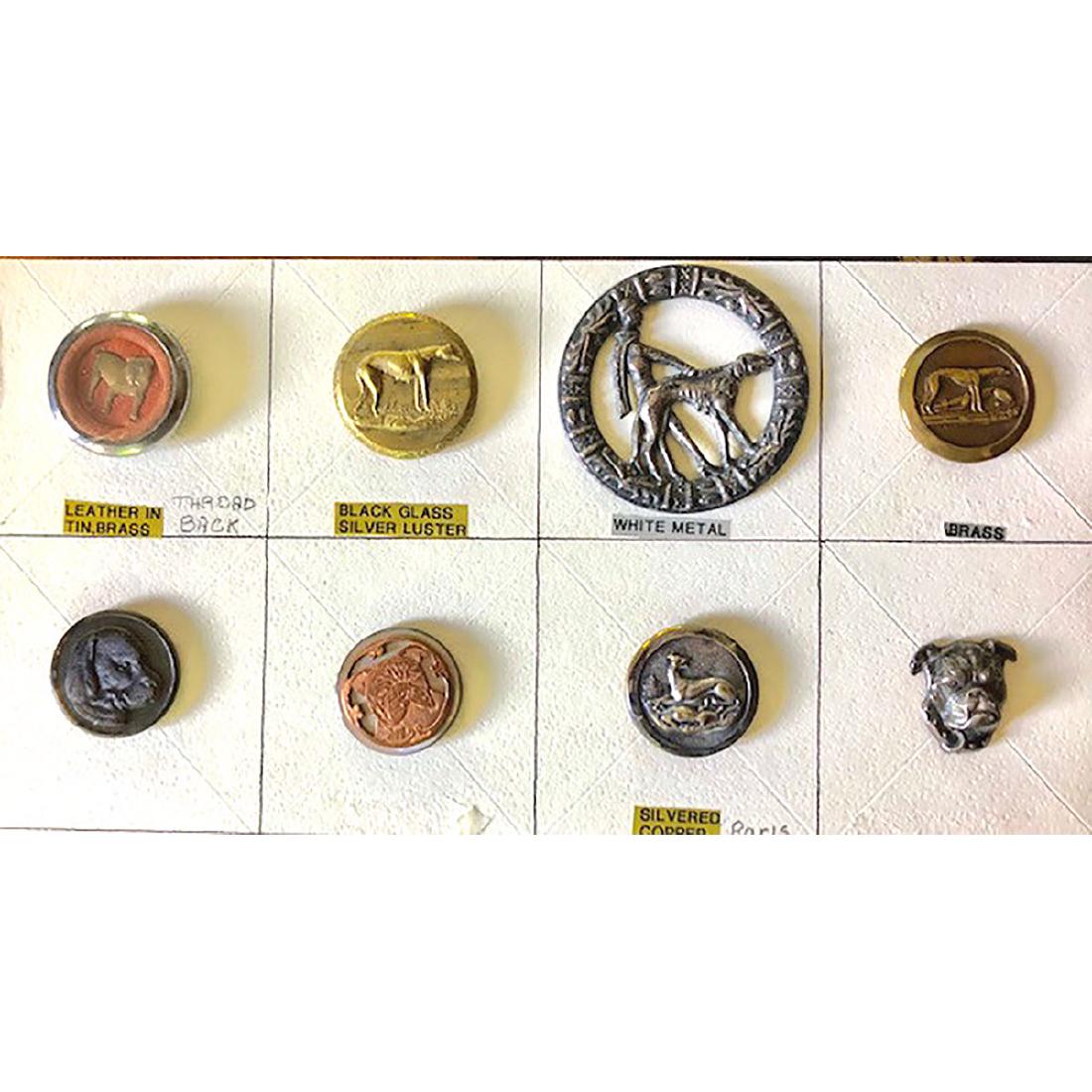 8 DOG BUTTONS INCLUDING SPORTING-M/L: 8 Dog Buttons including Sporting-M/L