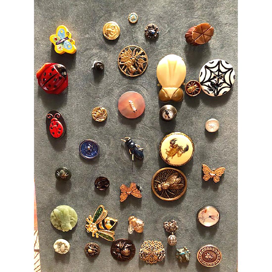 35 S/M/L ASST'D MATERIAL BUTTONS DEPICTING INSECTS (1 of 4)