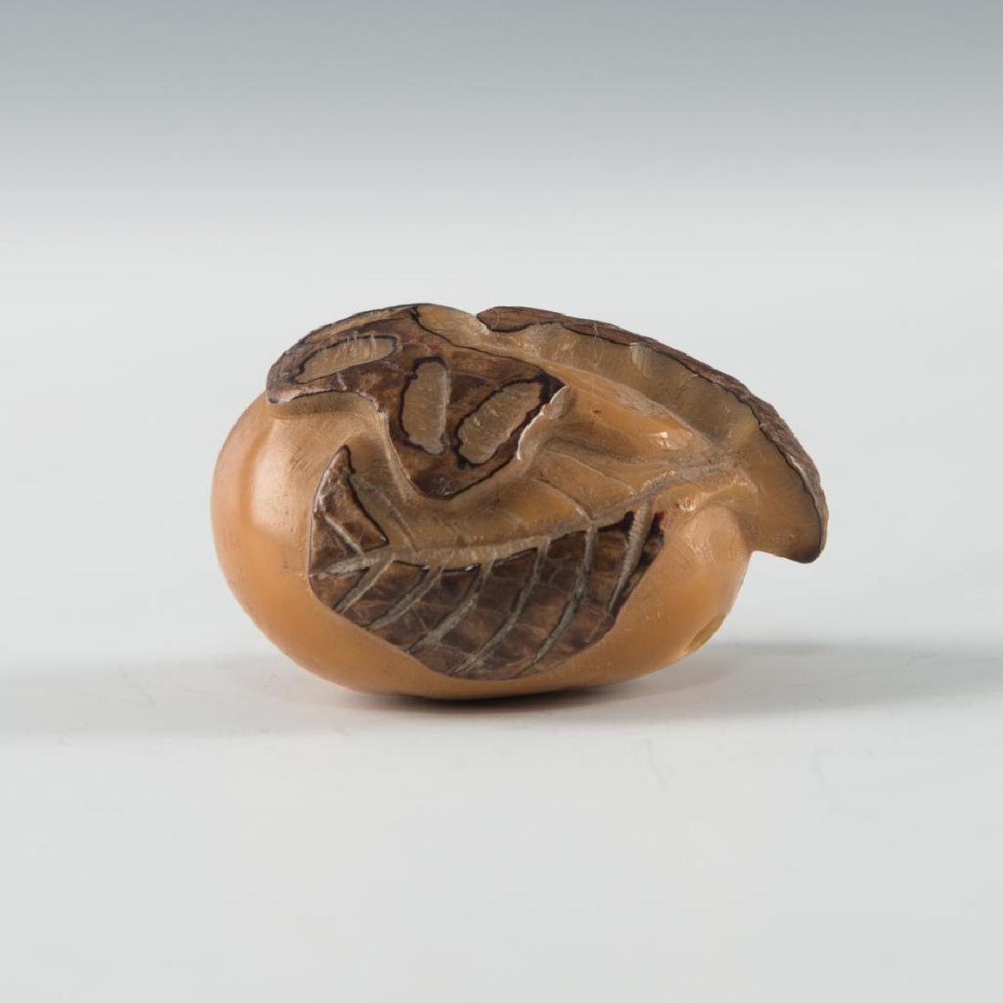 ANTIQUE JAPANESE CARVED TAGUA NUT NETSUKE PLUM (1 of 6)