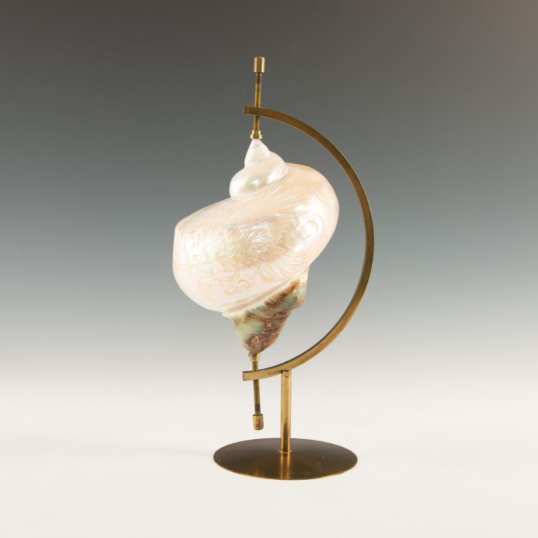 HANDCARVED SPECIMEN TURBAN PACIFIC SHELL LARGE (1 of 7)