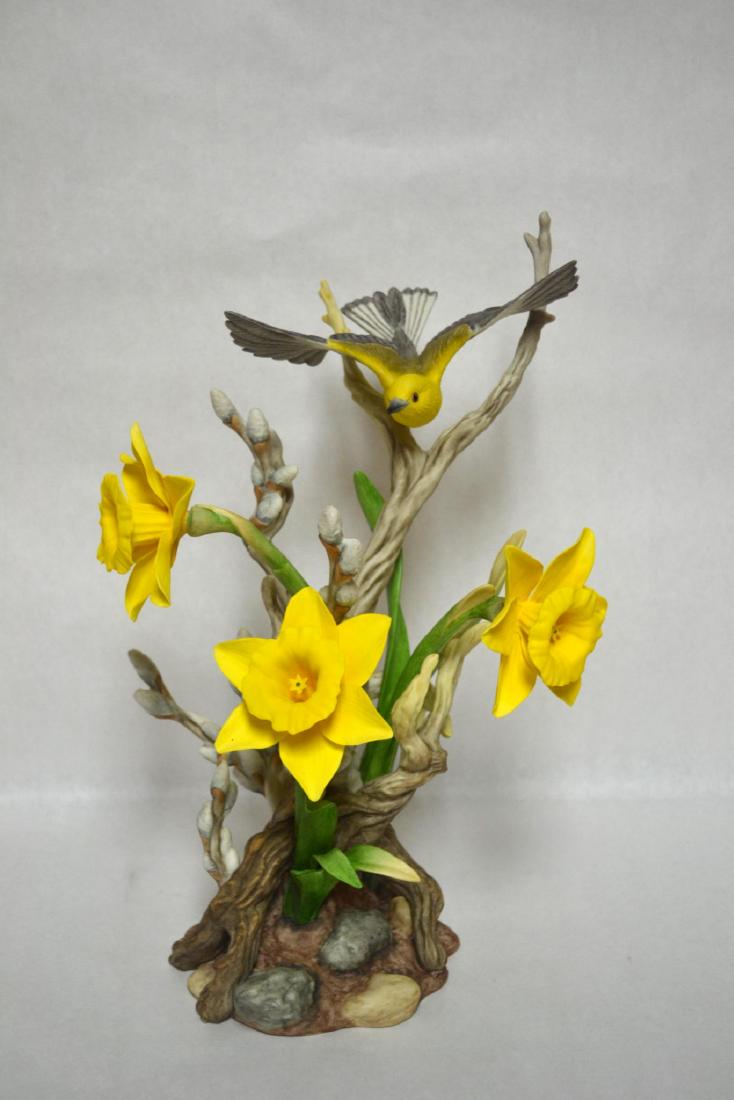 BOEHM PROTHONOTARY WARBLER (1 of 4)