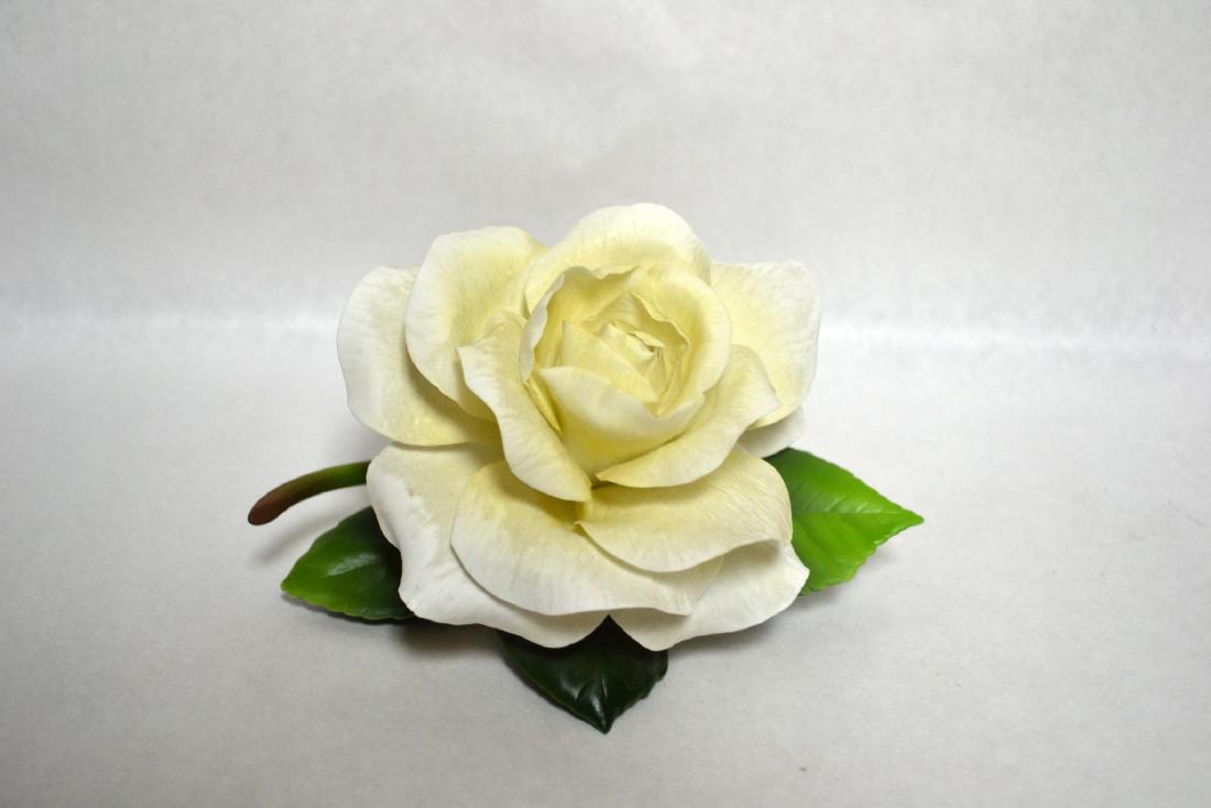 BOEHM PORCELAIN ICEBERG ROSE: Bisque Porcelain Decorated. White rose on green leaves. Hallmark: F328. Issued: 1992 Dimensions: 3 1/2" H x 6" W x 5" D Manufacturer: Boehm Country of Origin: USA