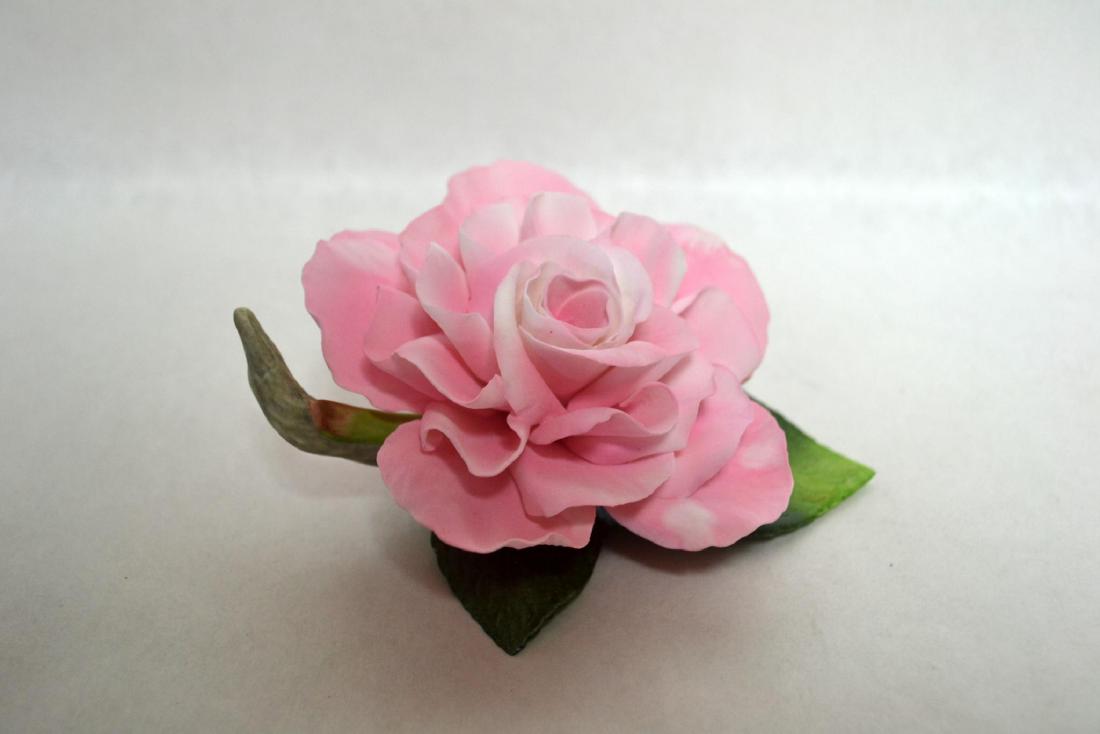 BOEHM PORCELAIN CANDY CAMELLIA FLOWER (1 of 4)