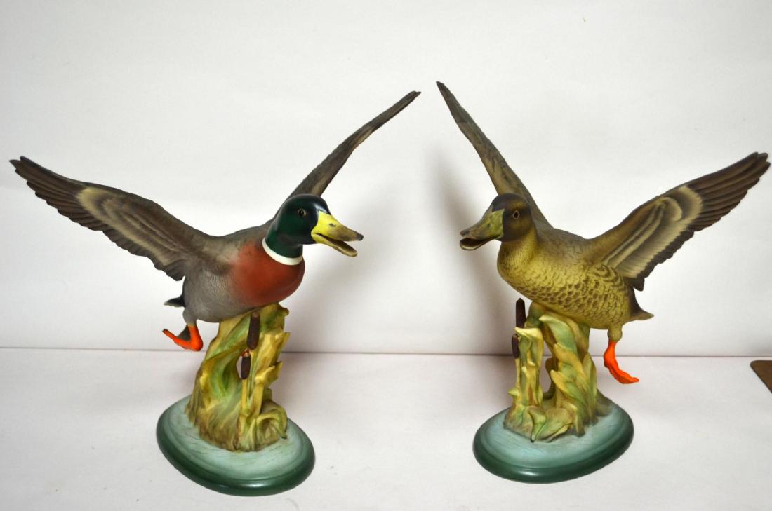 BOEHM PORCELAIN MALLARDS, PR.: Boehm Porcelain Mallards, Pr. Early and Vintage, , Hand-painted by Edward Marshall Boehm. Bisque Porcelain Decorated. Hallmark: 406. USA. Rare, early pair. Size: Female - 11" h x 11" w x 10 1/2" d. Is
