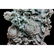 PAIR OF CHINESE CARVED JADE PHEASANT BIRDS, WOODEN - 8