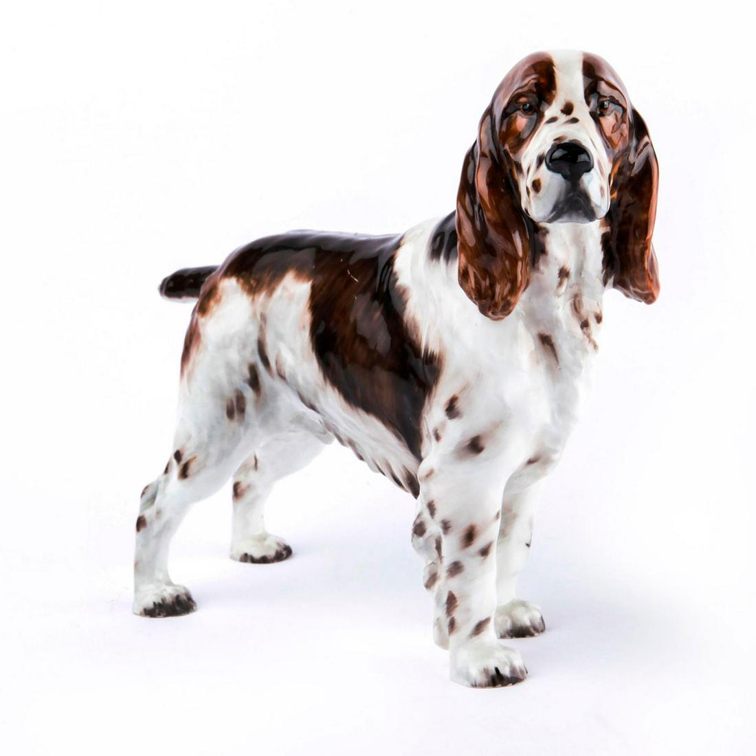Royal springer cheap spaniels